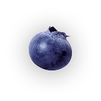 Blueberry