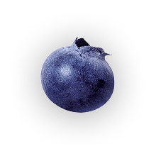 Blueberry