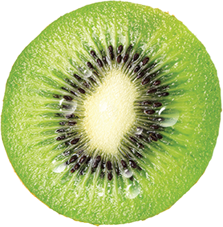 kiwi