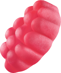raspberry