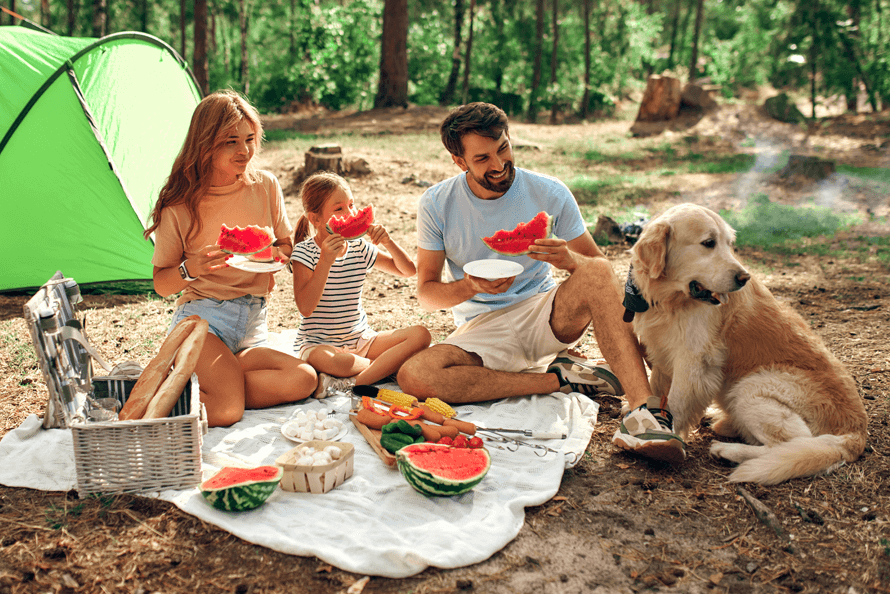 Outdoor family picnic with food