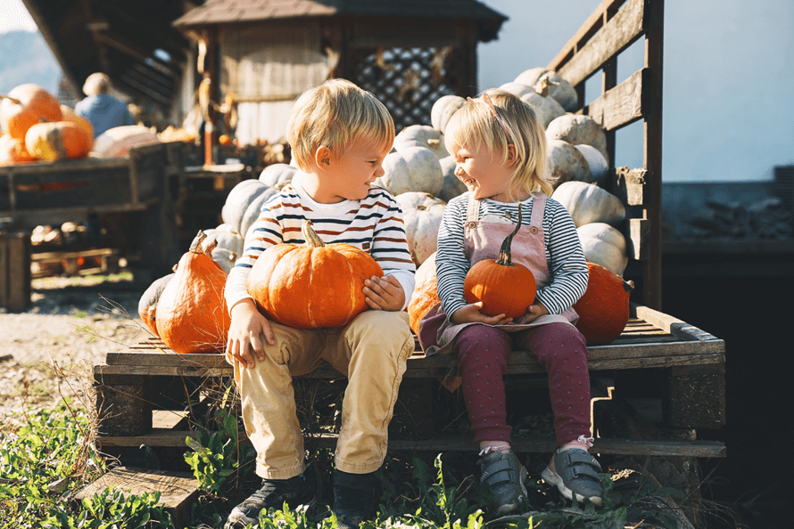 Children picking pumpkins during Thanksgiving