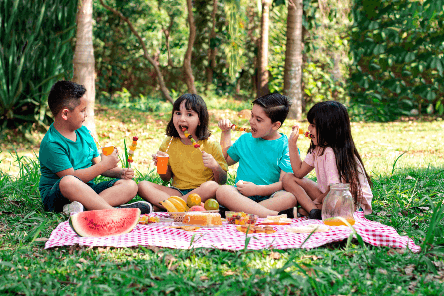 children’s picnic playdate 